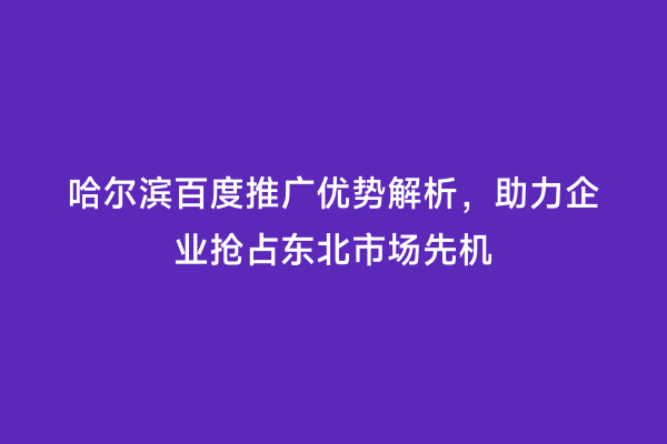 哈尔滨百度推广优势解析，助力企业抢占东北市场先机