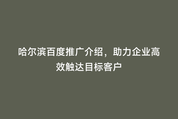 哈尔滨百度推广介绍，助力企业高效触达目标客户