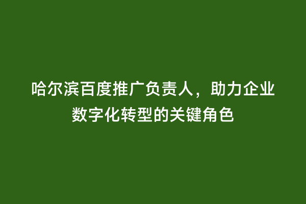 哈尔滨百度推广负责人，助力企业数字化转型的关键角色