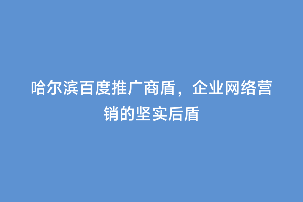 哈尔滨百度推广商盾，企业网络营销的坚实后盾