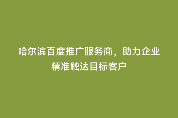 哈尔滨百度推广服务商，助力企业精准触达目标客户