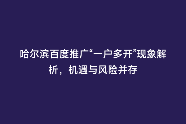 哈尔滨百度推广“一户多开”现象解析，机遇与风险并存