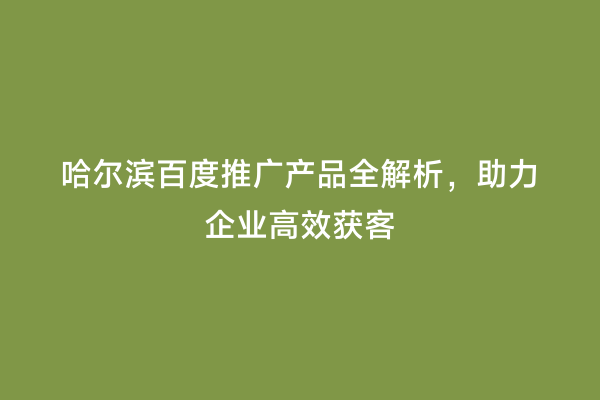 哈尔滨百度推广产品全解析，助力企业高效获客