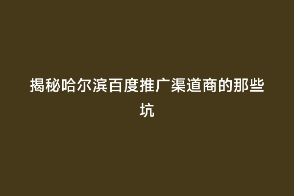揭秘哈尔滨百度推广渠道商的那些坑