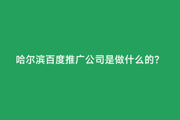 哈尔滨百度推广公司是做什么的？