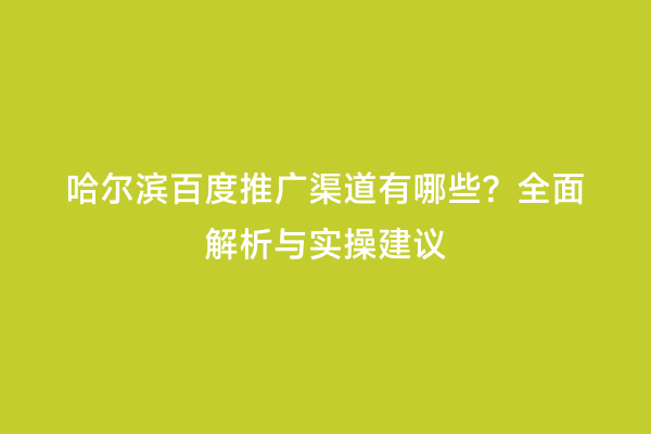 哈尔滨百度推广渠道有哪些？全面解析与实操建议
