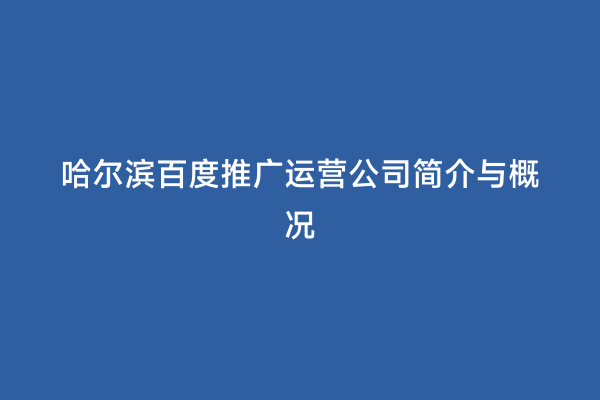 哈尔滨百度推广运营公司简介与概况