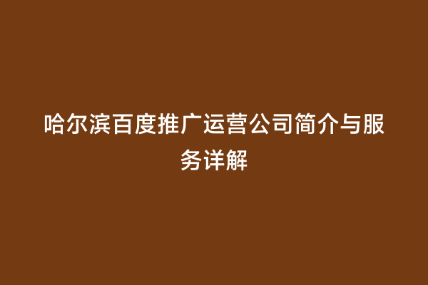哈尔滨百度推广运营公司简介与服务详解