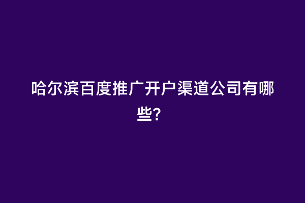 哈尔滨百度推广开户渠道公司有哪些？