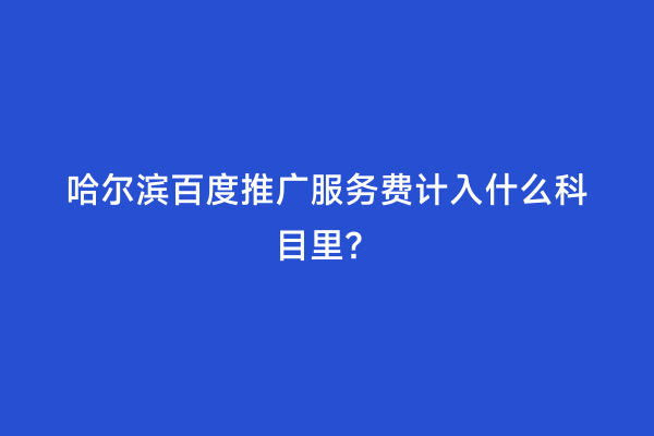 哈尔滨百度推广服务费计入什么科目里？