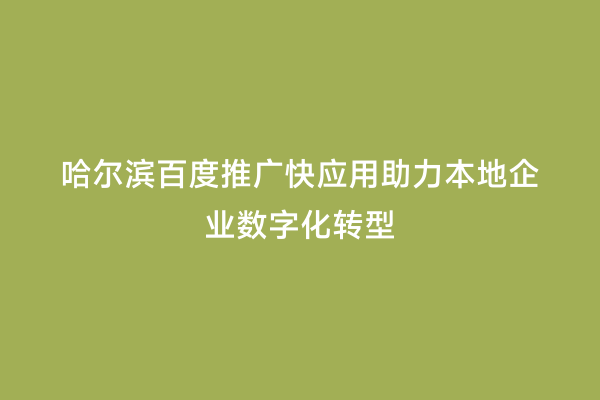 哈尔滨百度推广快应用助力本地企业数字化转型