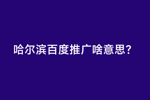 哈尔滨百度推广啥意思？