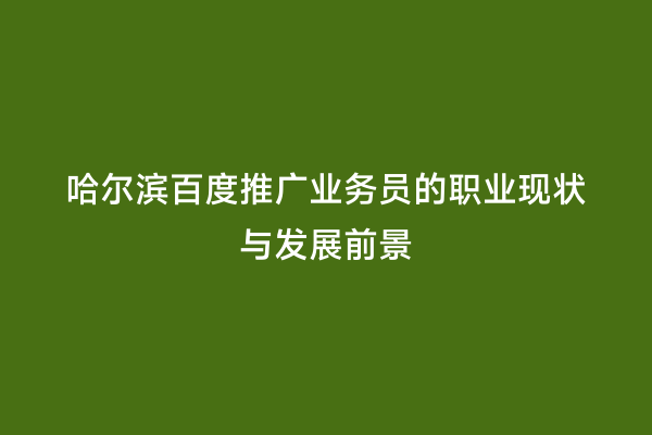 哈尔滨百度推广业务员的职业现状与发展前景
