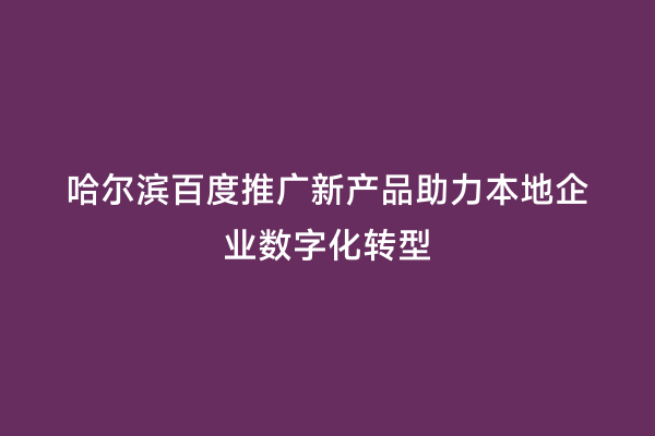 哈尔滨百度推广新产品助力本地企业数字化转型