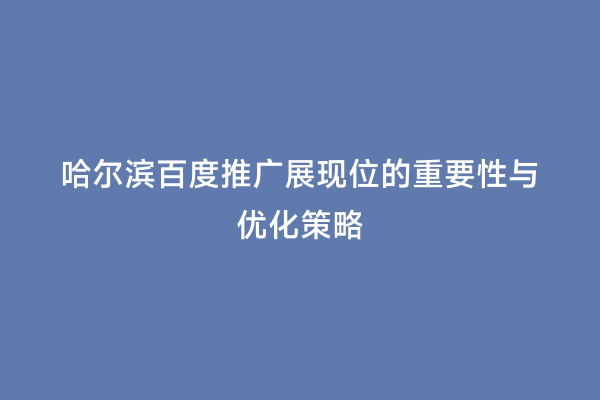 哈尔滨百度推广展现位的重要性与优化策略