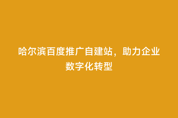哈尔滨百度推广自建站，助力企业数字化转型