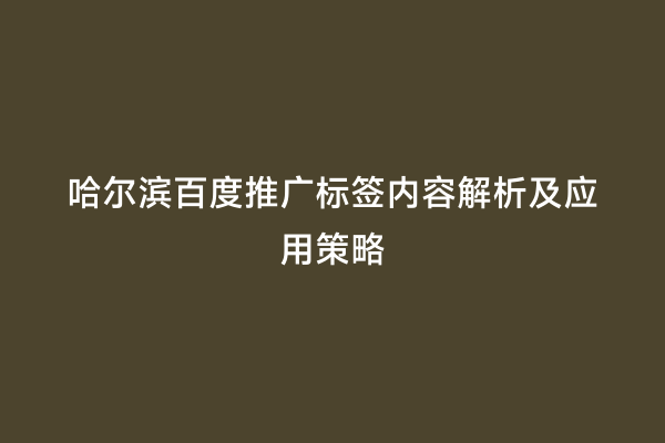 哈尔滨百度推广标签内容解析及应用策略