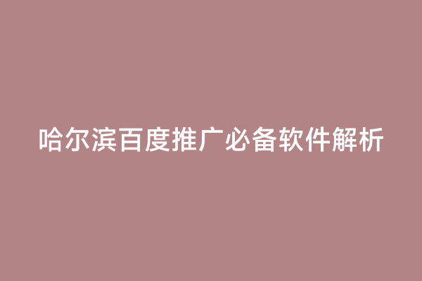 哈尔滨百度推广必备软件解析
