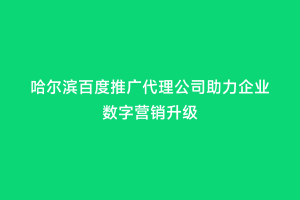 哈尔滨百度推广代理公司助力企业数字营销升级