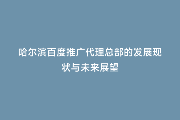 哈尔滨百度推广代理总部的发展现状与未来展望