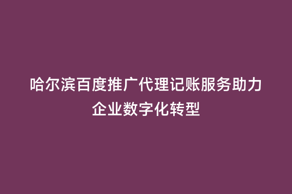 哈尔滨百度推广代理记账服务助力企业数字化转型