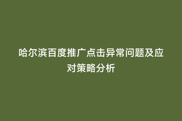 哈尔滨百度推广点击异常问题及应对策略分析