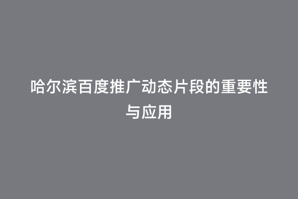 哈尔滨百度推广动态片段的重要性与应用