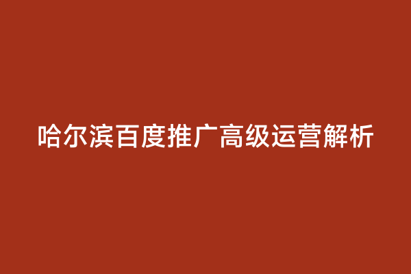 哈尔滨百度推广高级运营解析