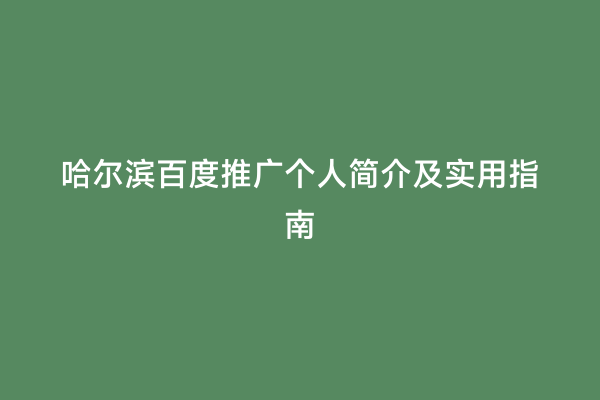 哈尔滨百度推广个人简介及实用指南