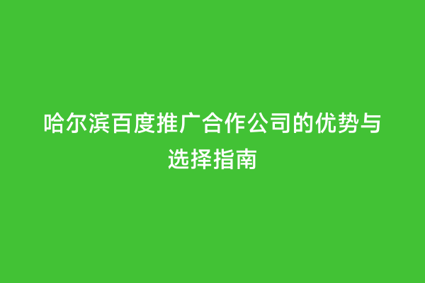 哈尔滨百度推广合作公司的优势与选择指南
