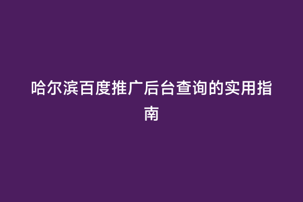 哈尔滨百度推广后台查询的实用指南