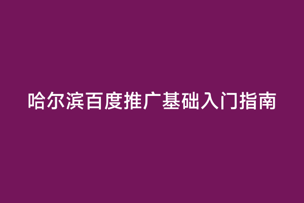 哈尔滨百度推广基础入门指南