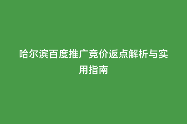 哈尔滨百度推广竞价返点解析与实用指南