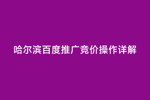 哈尔滨百度推广竞价操作详解