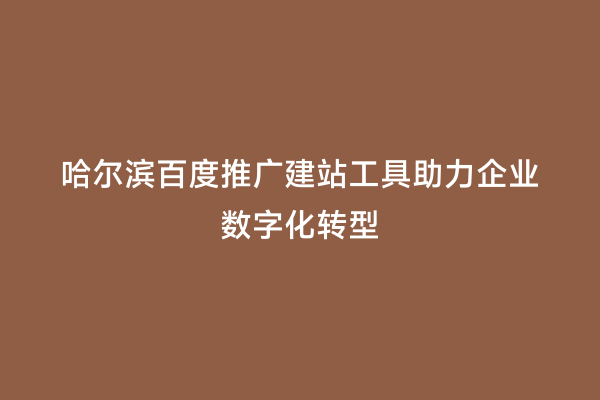 哈尔滨百度推广建站工具助力企业数字化转型