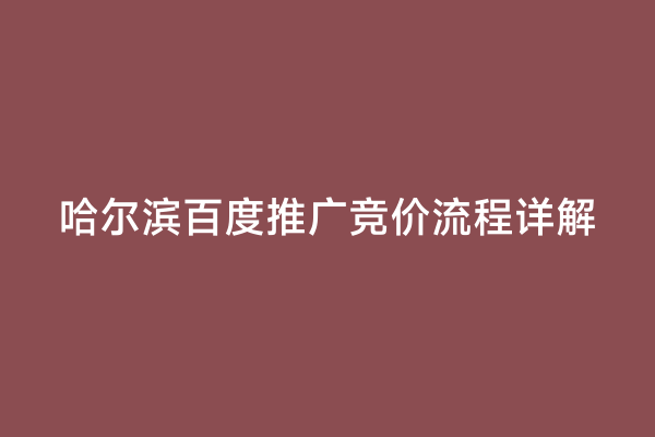 哈尔滨百度推广竞价流程详解