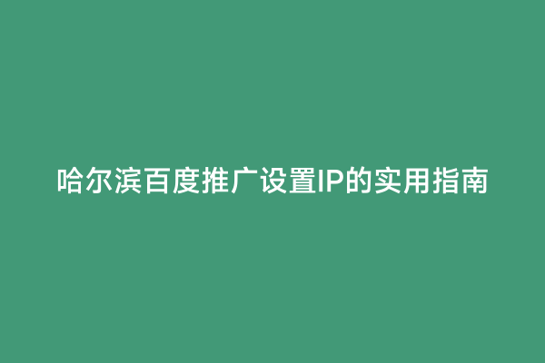 哈尔滨百度推广设置IP的实用指南