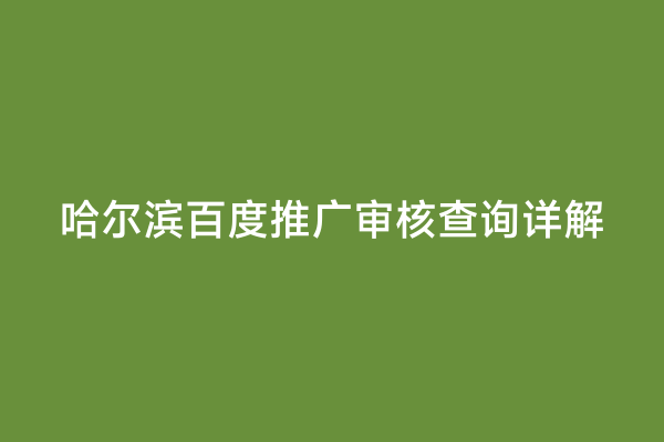 哈尔滨百度推广审核查询详解