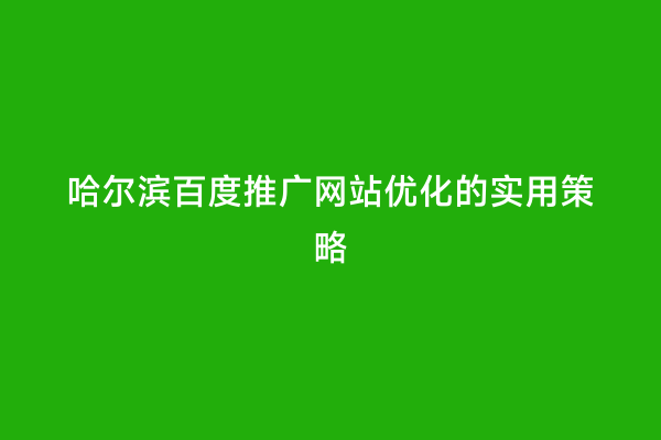 哈尔滨百度推广网站优化的实用策略