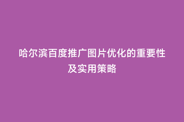哈尔滨百度推广图片优化的重要性及实用策略
