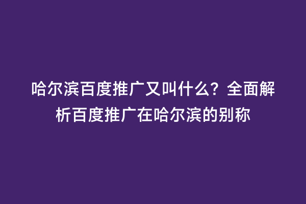哈尔滨百度推广又叫什么？全面解析百度推广在哈尔滨的别称