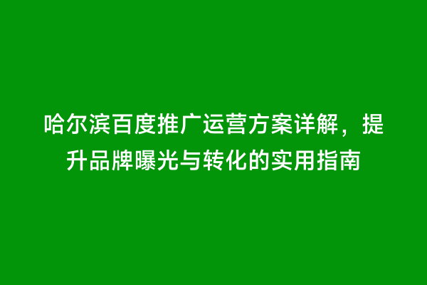 哈尔滨百度推广运营方案详解，提升品牌曝光与转化的实用指南