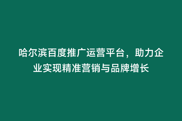 哈尔滨百度推广运营平台，助力企业实现精准营销与品牌增长