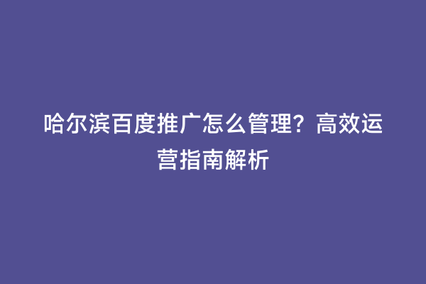 哈尔滨百度推广怎么管理？高效运营指南解析