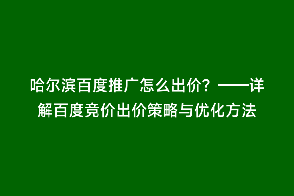 哈尔滨百度推广怎么出价？——详解百度竞价出价策略与优化方法