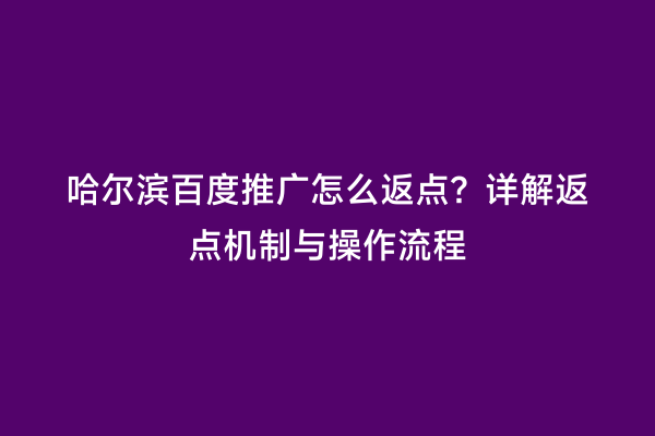 哈尔滨百度推广怎么返点？详解返点机制与操作流程