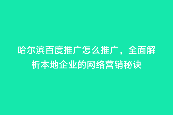 哈尔滨百度推广怎么推广，全面解析本地企业的网络营销秘诀