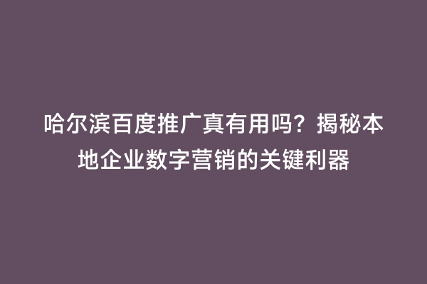 哈尔滨百度推广真有用吗？揭秘本地企业数字营销的关键利器