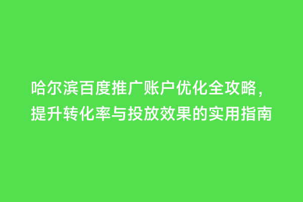 哈尔滨百度推广账户优化全攻略，提升转化率与投放效果的实用指南