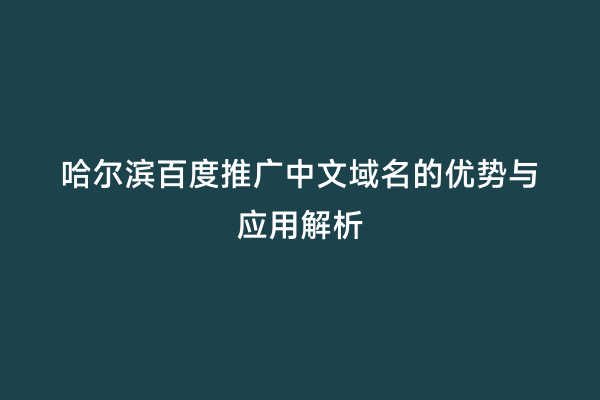 哈尔滨百度推广中文域名的优势与应用解析